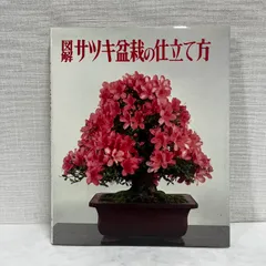 図解 サツキ盆栽の仕立て方