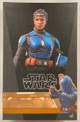 HOTTOYS TELEVISION MASTERPIECE KOSKA REEVES TMS069