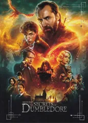 ファンタスティック・ビーストとダンブルドアの秘密　映画 パンフレット(中古)