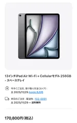 【極美品】13インチ M3 iPad Air Wi-Fi ＋ Cellular 256GB スペースグレイ 2025年モデル