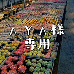 AYA様専用