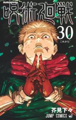 Jujutsu Kaisen Vol. 30 / Shueisha / Gege Akutami (Comic)