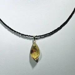 2026年最新】虫入り琥珀ペンダントの人気アイテム - メルカリ