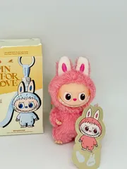 ラブブ（Labubu） PIN FOR LOVE Series secret【♡】 POP MART 開封済み 正規品 本体＋外箱＋カード
