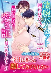 凄腕パイロットに囲われたら、眩むほどの愛の証を刻み込まれました/ハ-パ-コリンズ・ジャパン/ぐるもり（文庫）