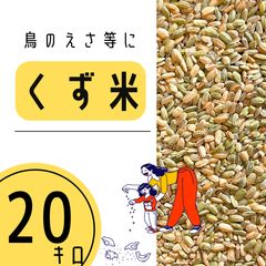 Item thumbnail for item 2210a560-d19e-4b33-b0dd-5a574f3b00fc