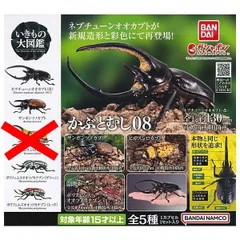 いきもの大図鑑 かぶとむし08 × 4種セット カブトムシ カブト虫 ミニチュア フィギュア ガチャ ガチャガチャ カプセルトイ ネプチューンオオカブト(改) サンボンツノカブト ポリフェムスオオツノカナブン(グリーン) ポリフェムスオオツノカナブン(レッド)