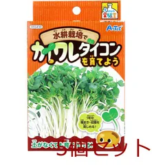 てのひら実験室 水耕栽培でカイワレダイコンを育てよう 5セット
