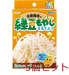 てのひら実験室 水耕栽培で緑豆もやしを育てよう 5セット