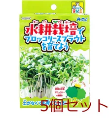 てのひら実験室 水耕栽培でブロッコリースプラウトを育てよう 5セット