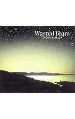 2025年最新】浜田省吾 WASTED TEARSの人気アイテム - メルカリ