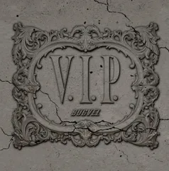 V.I.P. / CLOVER (V.I.P.盤)(中古品)