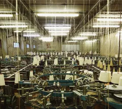 2025年最新】toe for long tomorrowの人気アイテム - メルカリ