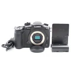 2026年最新】dc-gh5 中古の人気アイテム - メルカリ