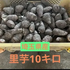 2025年最新】里芋 品種の人気アイテム - メルカリ