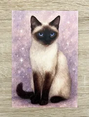 猫 イラスト 絵葉書 ポストカード シャム猫 A