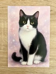 スプレーアートエデン 猫 複製画 - メルカリ