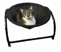 Item thumbnail for item b6d53ce2-7e8a-4e94-ae48-8612b0322fe6