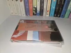 フィオレンT チャーム 忍びがたい軽やかさ ロマンス小説