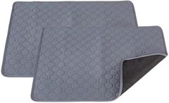 Item thumbnail for item b1628b54-95da-4c0e-a6cf-ab8a1f16622d