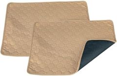 Item thumbnail for item 43dcf65c-8960-412c-82ad-06d9200ef379