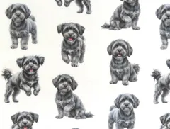 【ゆきちゃん限定】X2482 マルプー シルバー（グレー） 白 生地 1m