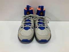 NIKE ナイキ スニーカー AIR MOWABB RATTAN BIRCH DC9554-200 グレー 25.0cm