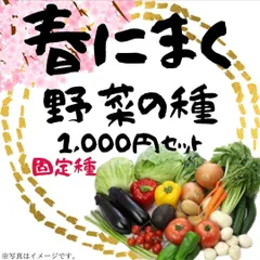 ​★春にまく　野菜の種　おまとめ 15種セット！ 家庭菜園 野菜の種 固定種 1,000円【2026年 春〜秋】 無農薬・自然栽培に！