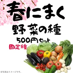 家庭菜園に！ 野菜の種セット 固定種 500円【2026年 春〜秋】