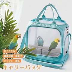 Item thumbnail for item 8668a544-3774-4505-9b9a-610434aad046