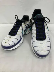 NIKE/AIR MAX PLUS/DM0032-100/29.5cm