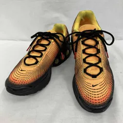 NIKE/AIR MAX DN SE/HM0810-800/28㎝