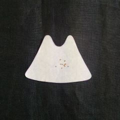 イヌノフグリ　山野草　種　8粒