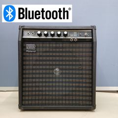 EDEN エデン EC8 20W ベース用コンボアンプ - メルカリ