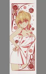 [중고] 타월·수건(캐릭터) 세이버 페이스 타올 [이치반 복권 Fate/EXTRA Last Encore] C상