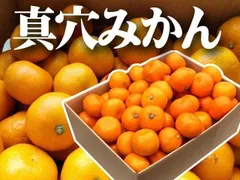 2026年最新】真穴みかん sの人気アイテム - メルカリ