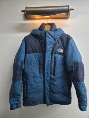 L/100) THE NORTH FACE ザノースフェイス ドライベント プリズム グースダウン ダウン 出品