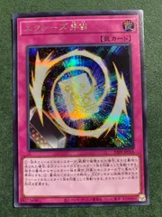 23PP エクシーズ弁当 シークレットレア