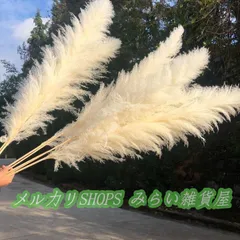 ドライフラワー 花材 白 ビッグテールリード パンパスグラス 穂 パンパス系 ドライフラワー スワッグ ブーケ ふわふわ 花 パンパスグラス1111