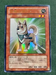 2025年最新】柴戦士タロの人気アイテム - メルカリ