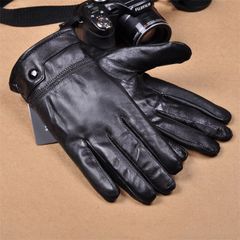 Item thumbnail for item 8eb97553-efc9-4206-a219-14f1eb01b8ee