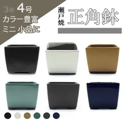 2026年最新】泥 盆栽 鉢の人気アイテム - メルカリ