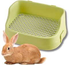 Item thumbnail for item fdaf437e-2b57-45cb-8fa5-6d273cd810fa