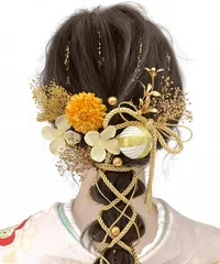 髪飾り 成人式 9色展開 ドライフラワー 和装 振袖 着物 袴 浴衣用 卒業式 かすみ草 A1800