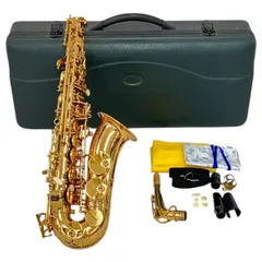 2025年最新】minerva アルトサックスの人気アイテム - メルカリ