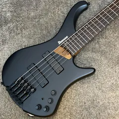 2025年最新】アイバニーズベースの人気アイテム - メルカリ