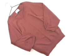 green label relaxing グリーンレーベルリラクシング ユナイテッドアローズ ウール混 Vネック ニット セーター 茶 ◇■ レディース