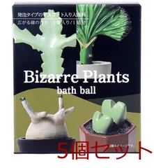 2025年最新】ユーフォルビア ホワイトゴーストの人気アイテム - メルカリ