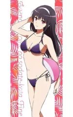 [중고] 잡화 카스미가오카 시우(수영복) 신작 스포츠 타월 [그렇지 않은 그녀의 키우는 방법 Fine]