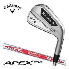 種類12：右用/34インチ ピン SCOTTSDALE ANSER 2D パター PING PP58